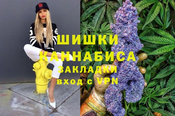 шишки Костерёво