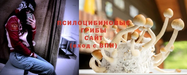 шишки Костерёво