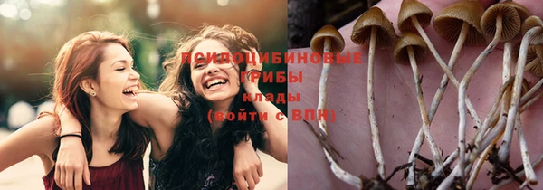 кристаллы Коряжма